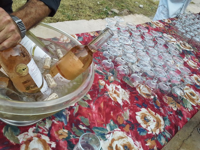 Dégustations de Rosé AOC Cotes de Provence au domaine